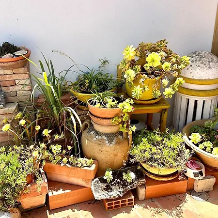 Casa Da Pinheirinha Дом отдыха *